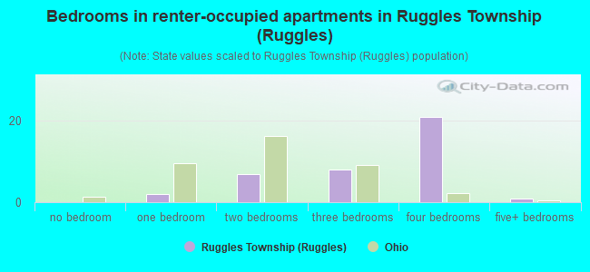 Bedrooms in renter-occupied apartments in Ruggles Township (Ruggles)