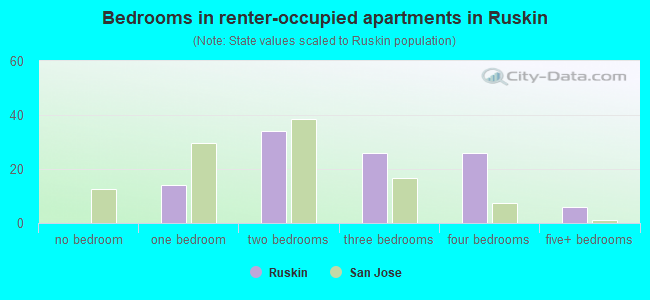 Bedrooms in renter-occupied apartments in Ruskin