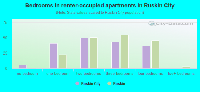 Bedrooms in renter-occupied apartments in Ruskin City