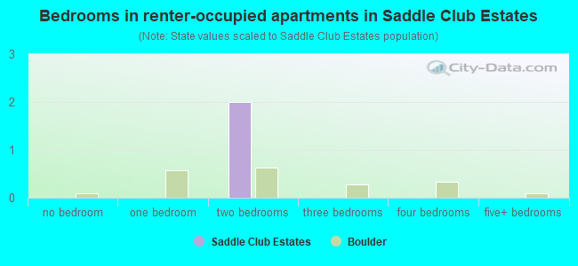 Bedrooms in renter-occupied apartments in Saddle Club Estates