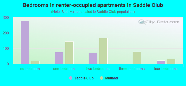 Bedrooms in renter-occupied apartments in Saddle Club