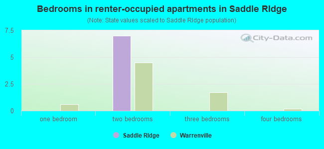 Bedrooms in renter-occupied apartments in Saddle RIdge