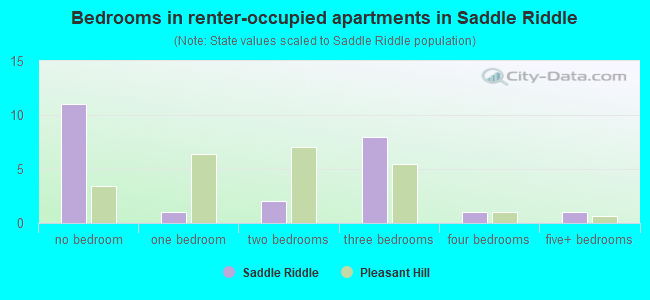 Bedrooms in renter-occupied apartments in Saddle Riddle