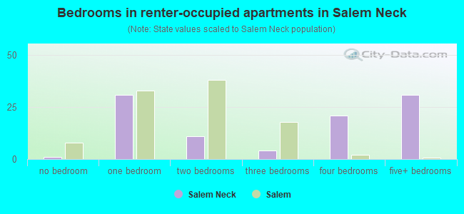 Bedrooms in renter-occupied apartments in Salem Neck