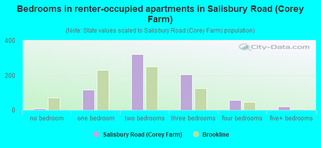 Bedrooms in renter-occupied apartments in Salisbury Road (Corey Farm)