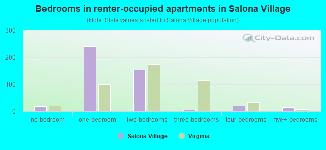 Bedrooms in renter-occupied apartments in Salona Village