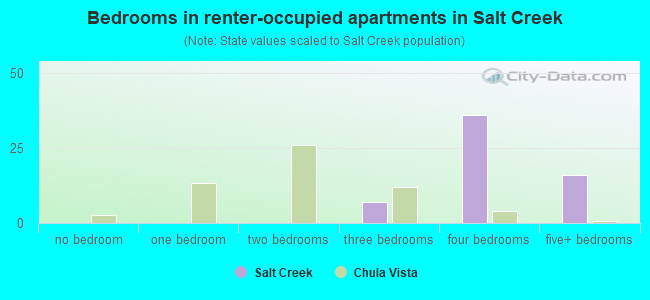 Bedrooms in renter-occupied apartments in Salt Creek