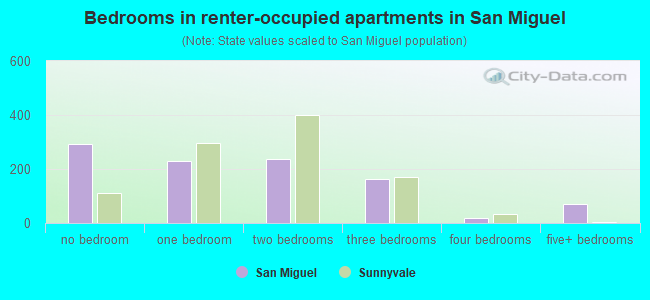 Bedrooms in renter-occupied apartments in San Miguel