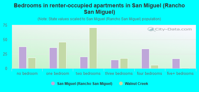 Bedrooms in renter-occupied apartments in San Miguel (Rancho San Miguel)