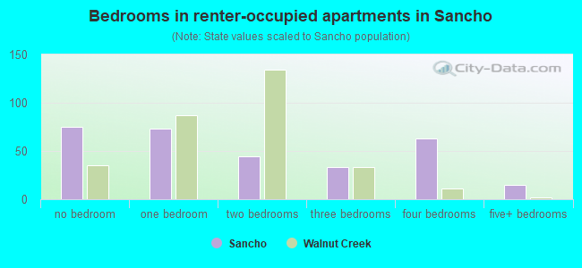 Bedrooms in renter-occupied apartments in Sancho