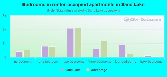 Bedrooms in renter-occupied apartments in Sand Lake