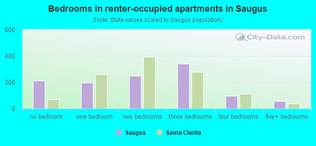 Bedrooms in renter-occupied apartments in Saugus