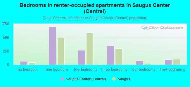 Bedrooms in renter-occupied apartments in Saugus Center (Central)