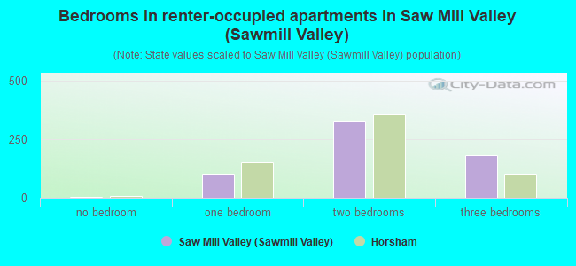 Bedrooms in renter-occupied apartments in Saw Mill Valley (Sawmill Valley)