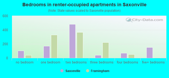 Bedrooms in renter-occupied apartments in Saxonville