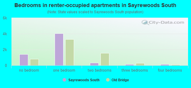 Bedrooms in renter-occupied apartments in Sayrewoods South