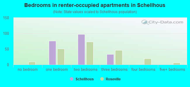 Bedrooms in renter-occupied apartments in Schellhous