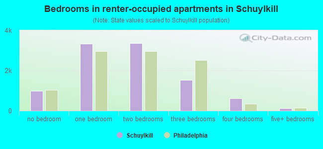 Bedrooms in renter-occupied apartments in Schuylkill
