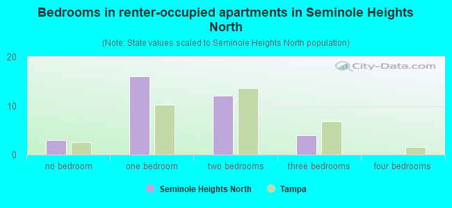 Bedrooms in renter-occupied apartments in Seminole Heights North