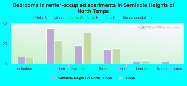 Bedrooms in renter-occupied apartments in Seminole Heights of North Tampa