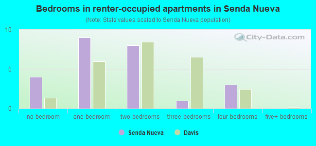 Bedrooms in renter-occupied apartments in Senda Nueva