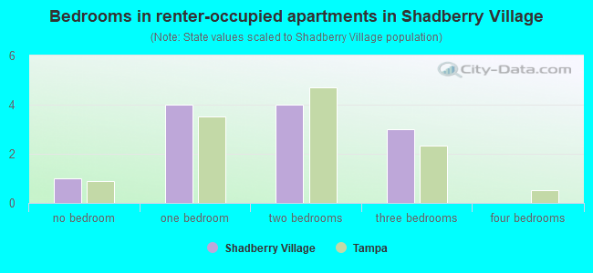 Bedrooms in renter-occupied apartments in Shadberry Village