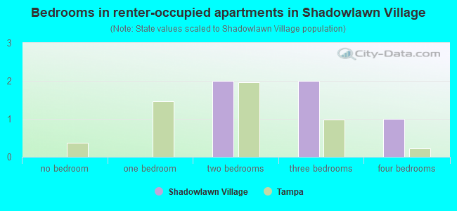 Bedrooms in renter-occupied apartments in Shadowlawn Village