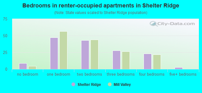 Bedrooms in renter-occupied apartments in Shelter Ridge