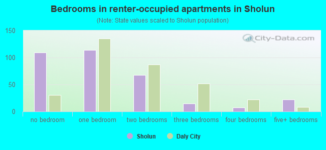 Bedrooms in renter-occupied apartments in Sholun