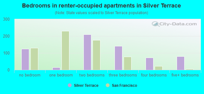 Bedrooms in renter-occupied apartments in Silver Terrace