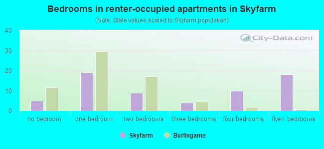 Bedrooms in renter-occupied apartments in Skyfarm