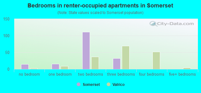 Bedrooms in renter-occupied apartments in Somerset