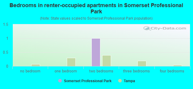 Bedrooms in renter-occupied apartments in Somerset Professional Park