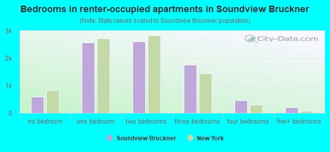 Bedrooms in renter-occupied apartments in Soundview Bruckner