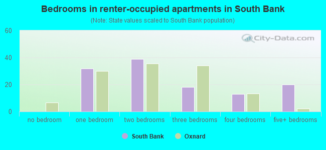 Bedrooms in renter-occupied apartments in South Bank