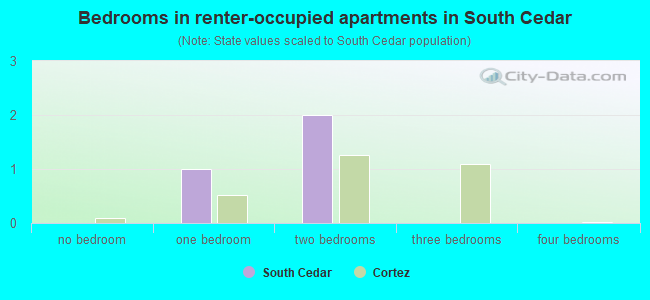 Bedrooms in renter-occupied apartments in South Cedar