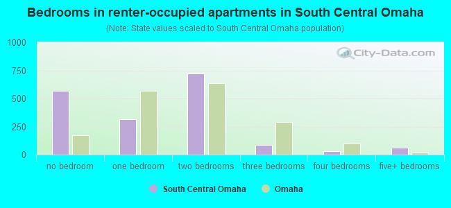 Bedrooms in renter-occupied apartments in South Central Omaha