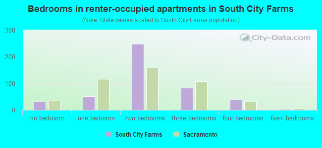 Bedrooms in renter-occupied apartments in South City Farms