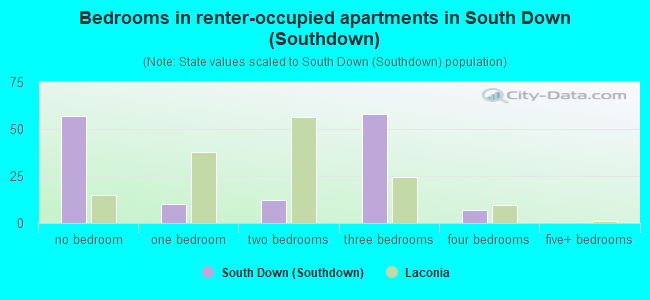 Bedrooms in renter-occupied apartments in South Down (Southdown)
