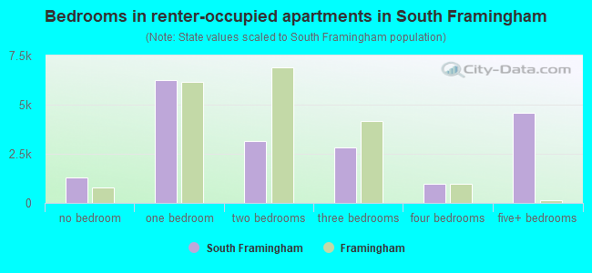 Bedrooms in renter-occupied apartments in South Framingham