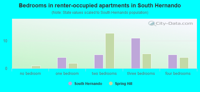 Bedrooms in renter-occupied apartments in South Hernando