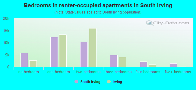 Bedrooms in renter-occupied apartments in South Irving