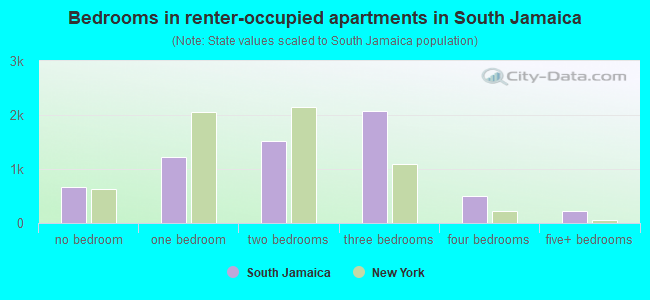 Bedrooms in renter-occupied apartments in South Jamaica