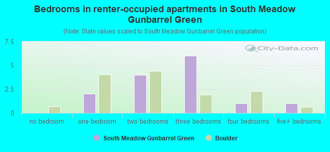 Bedrooms in renter-occupied apartments in South Meadow Gunbarrel Green