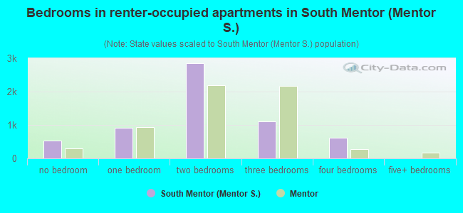 Bedrooms in renter-occupied apartments in South Mentor (Mentor S.)