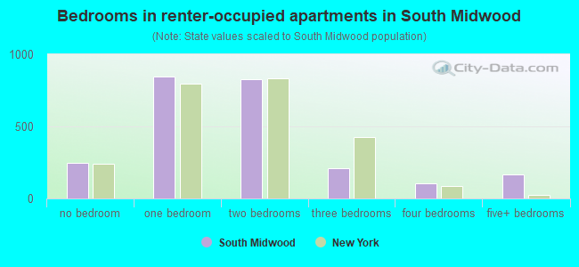 Bedrooms in renter-occupied apartments in South Midwood