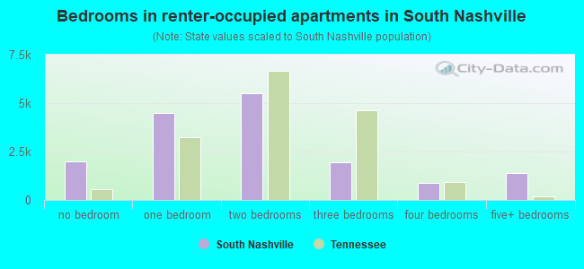 Bedrooms in renter-occupied apartments in South Nashville