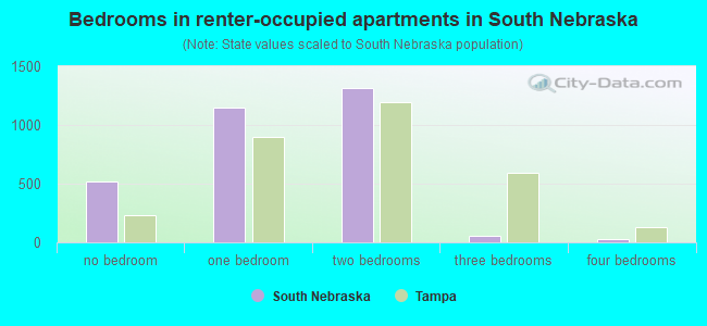 Bedrooms in renter-occupied apartments in South Nebraska