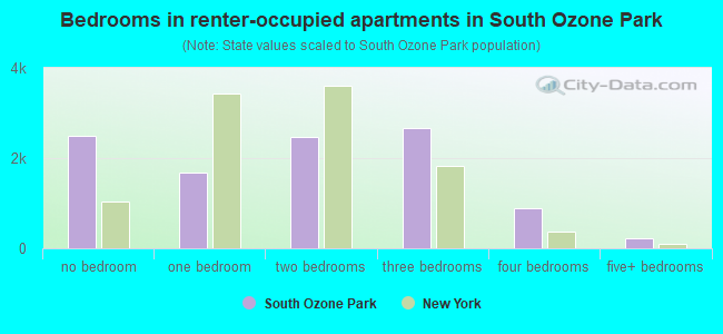Bedrooms in renter-occupied apartments in South Ozone Park