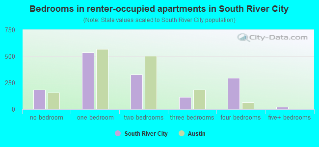 Bedrooms in renter-occupied apartments in South River City